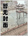 乾坤罩狐狸